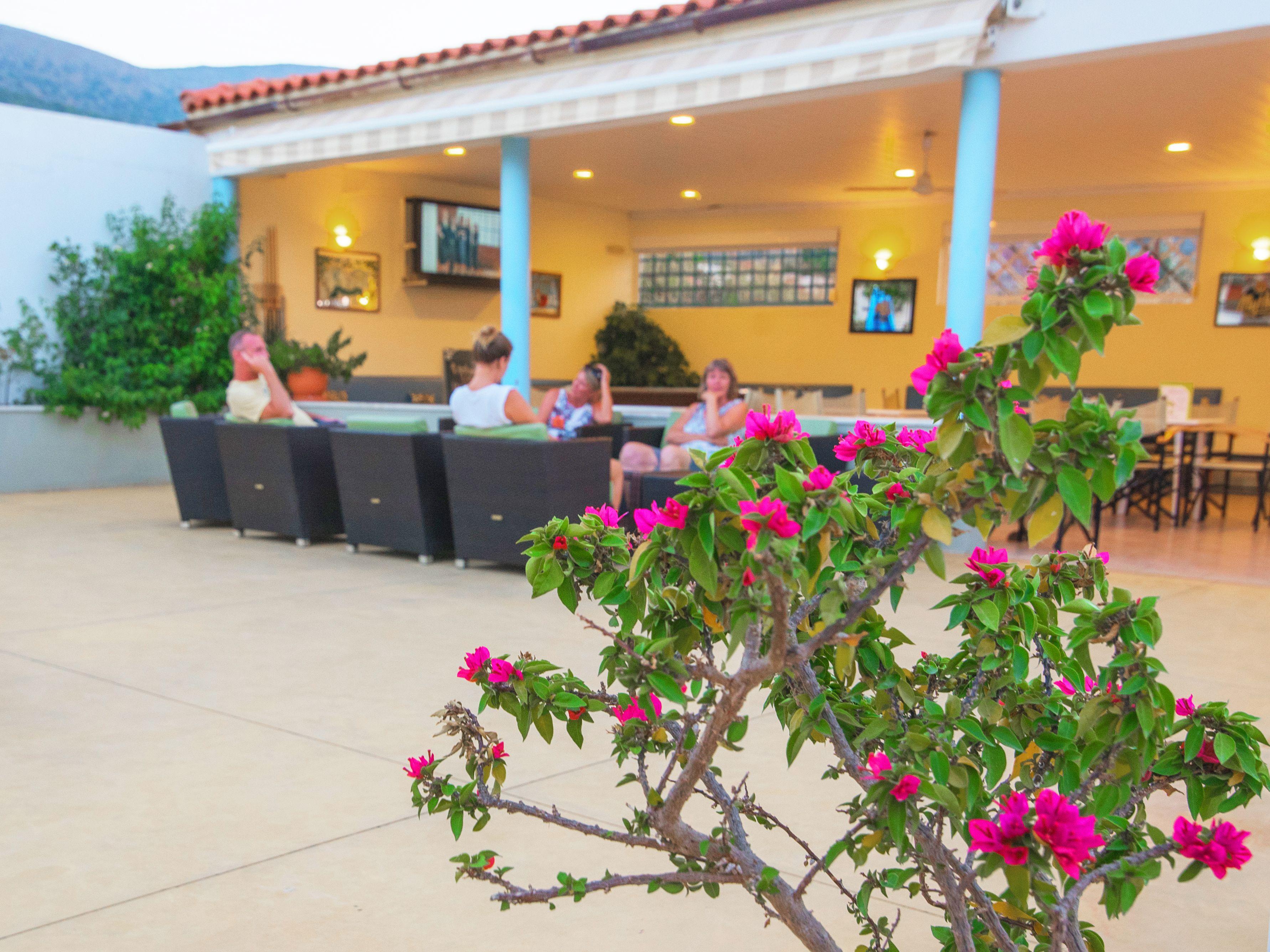 Melissa Apartments, Studios & Suites Malia  Ngoại thất bức ảnh