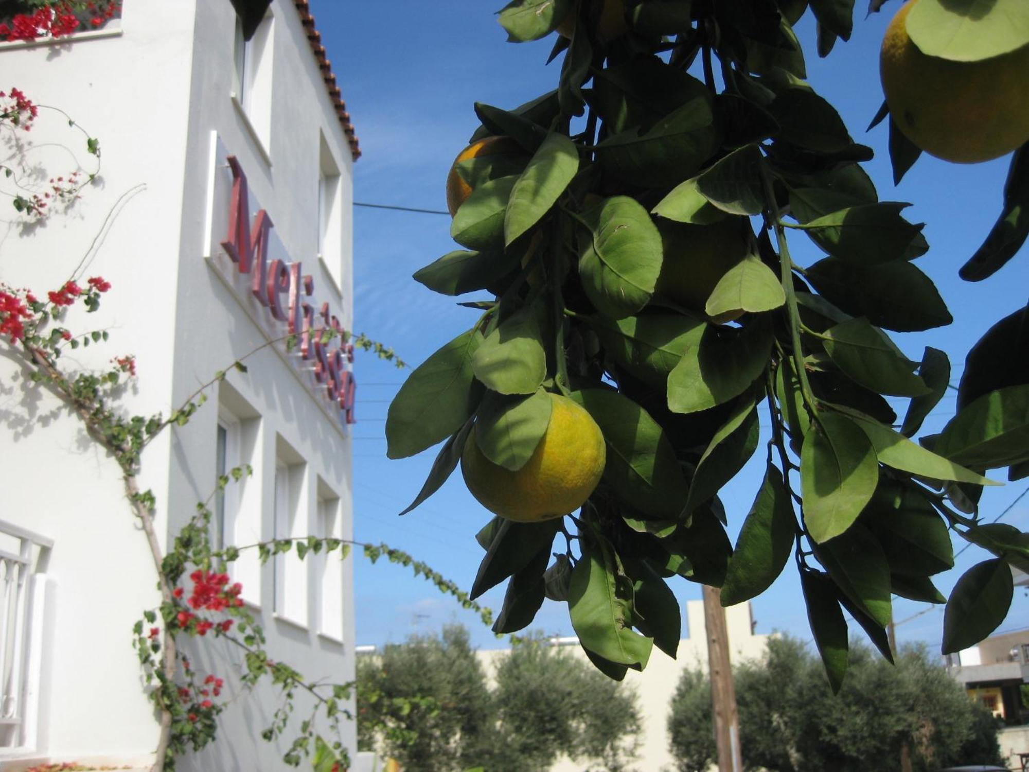 Melissa Apartments, Studios & Suites Malia  Ngoại thất bức ảnh